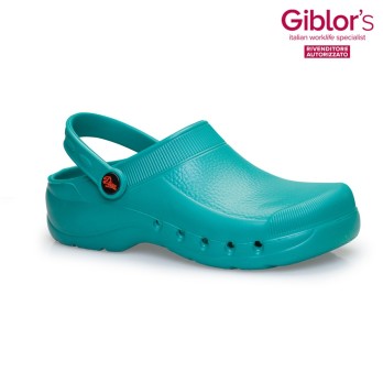 Green Professional Medical Aesthetic Clog. Now available online.