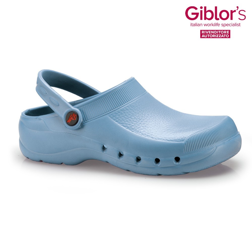 Light Blue Professional Medical Aesthetic Clog. It's available online.