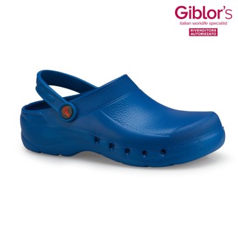 Leichter blauer Clog mit Zertifikat für Kosmetik und Spa. Kaufen Sie es online.